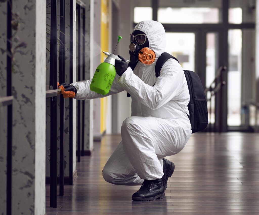 Mold Removal Service in Florida